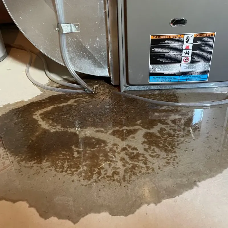 Pipe Burst and Leak Restoration in Rutledge, TN