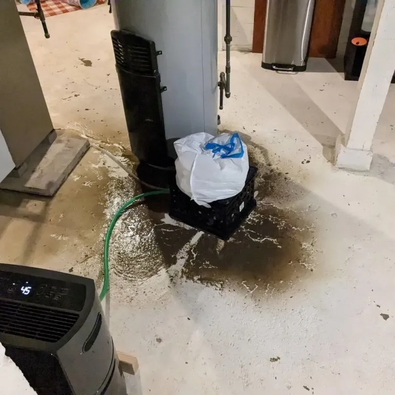 Sewage Backup Cleanup Service in Rutledge, TN